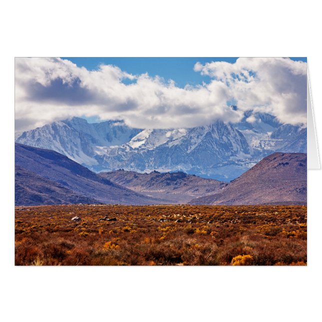 砂漠の午後 (正面横)