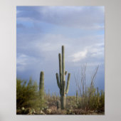 砂漠の午後 ポスター (正面)