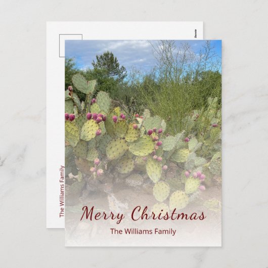 砂漠の南西のピリッとした梨サボテンのクリスマス シーズンポストカード (正面/裏面)