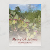 砂漠の南西のピリッとした梨サボテンのクリスマス シーズンポストカード (正面)