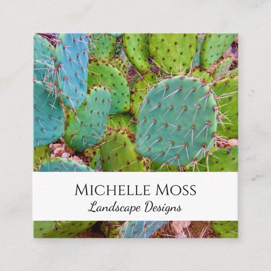 砂漠の南西のピリピリのナシ多肉植物 スクエア名刺 (正面)