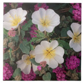 砂漠の夕べプリムローズと砂漠の砂のベルベナ タイル (正面)