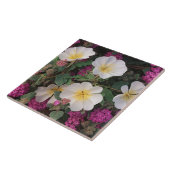 砂漠の夕べプリムローズと砂漠の砂のベルベナ タイル (側面)