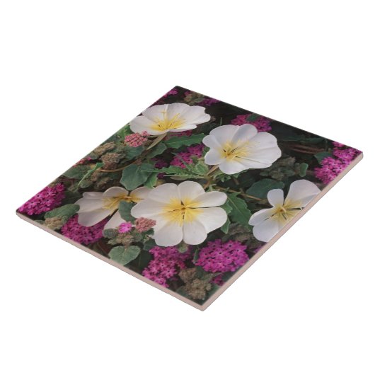 砂漠の夕べプリムローズと砂漠の砂のベルベナ タイル (側面)