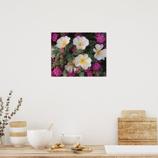 砂漠の夕べプリムローズと砂漠の砂浜ヴェルベナ ポスター (キッチン)