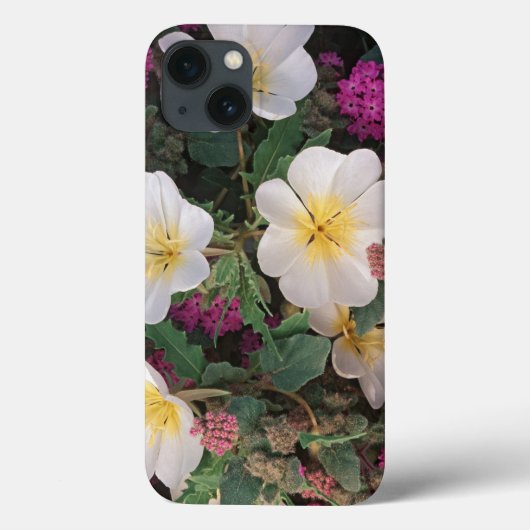 砂漠の夕べプリムローズと砂漠の砂浜ヴェルベナ Case-Mate iPhoneケース (裏面)