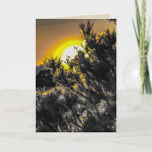 砂漠の夕日のグリーティ空白のングカード カード (正面)