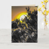 砂漠の夕日のグリーティ空白のングカード カード (黄色い花)