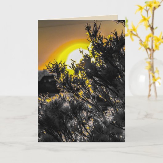 砂漠の夕日のグリーティ空白のングカード カード (黄色い花)