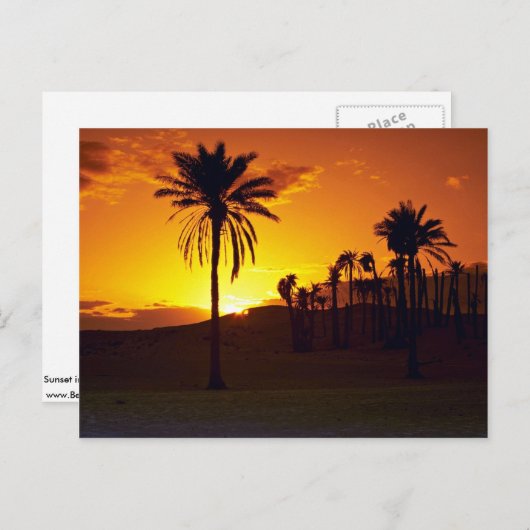 砂漠の夕日、サハラ、チュニジア砂漠 ポストカード (正面/裏面)
