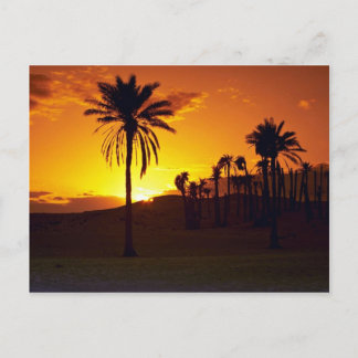 砂漠の夕日、サハラ、チュニジア砂漠 ポストカード