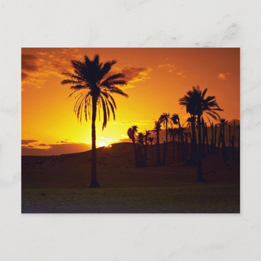 砂漠の夕日、サハラ、チュニジア砂漠 ポストカード (正面)