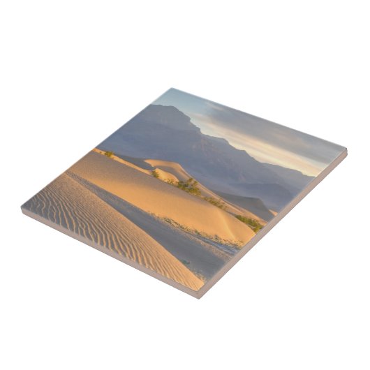 砂漠の夜明け タイル (側面)