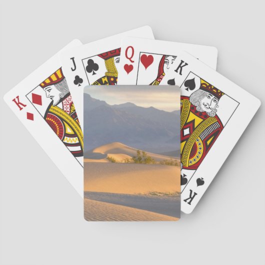 砂漠の夜明け トランプ (裏面)