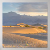 砂漠の夜明け ポスター (正面)