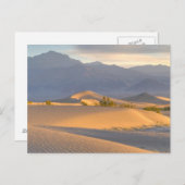 砂漠の夜明け ポストカード (正面/裏面)