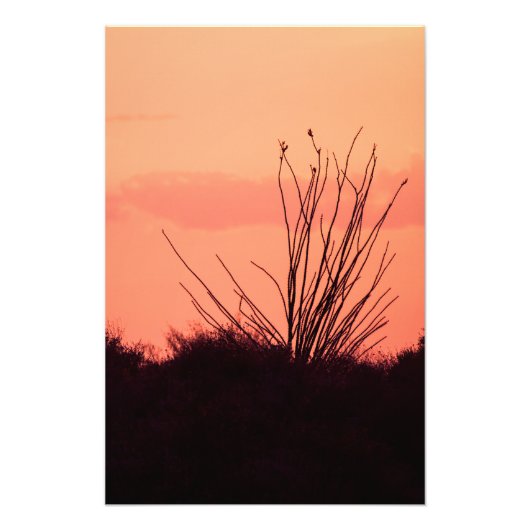 砂漠の夜 フォトプリント            (正面)