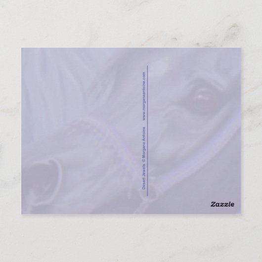 砂漠の宝石アラビア馬はがき ポストカード (裏面)