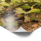 砂漠の山のアリゾナでとげのあるナシのサボテン フォトプリント (角)