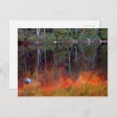 砂漠の島 |メイン州アカディア国立公園 ポストカード (正面/裏面)