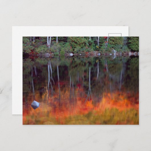 砂漠の島 |メイン州アカディア国立公園 ポストカード (正面/裏面)