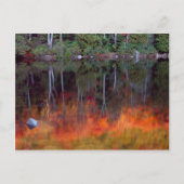 砂漠の島 |メイン州アカディア国立公園 ポストカード (正面)