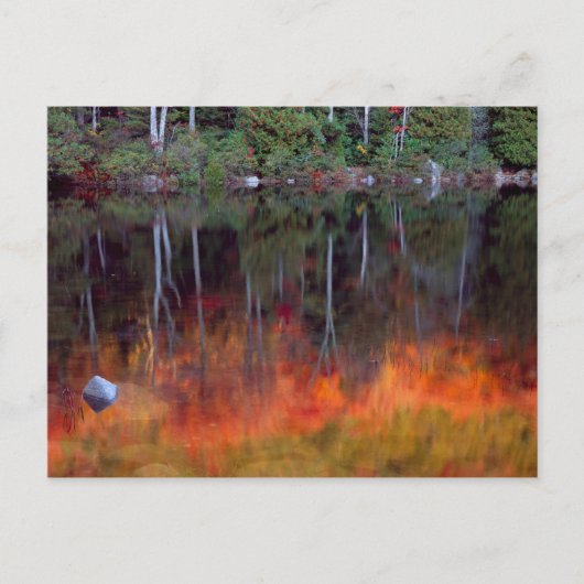 砂漠の島 |メイン州アカディア国立公園 ポストカード (正面)