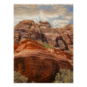 砂漠の州統一された砂漠の風景の写真 ポスター (正面)