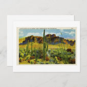 砂漠の巨大サボテンヴィンテージ葉書の風景 ポストカード (正面/裏面)