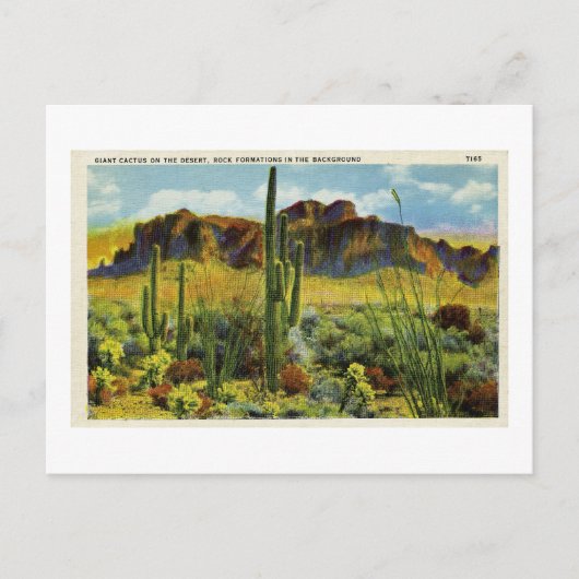 砂漠の巨大サボテンヴィンテージ葉書の風景 ポストカード (正面)