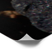 砂漠の星の野生の花 ポスター (角)