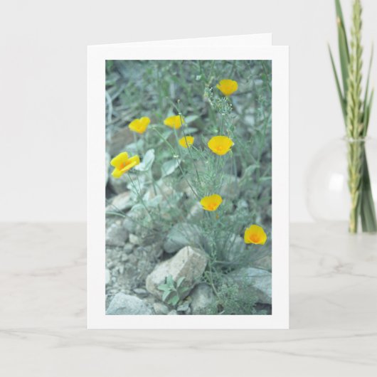 砂漠の春の花グリーティングカードまたはノートカード カード (正面)