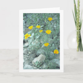 砂漠の春の花グリーティングカードまたはノートカード カード