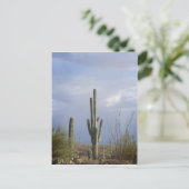 砂漠の晩後 ポストカード (スタンド正面)