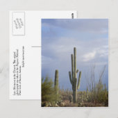 砂漠の晩後 ポストカード (正面/裏面)