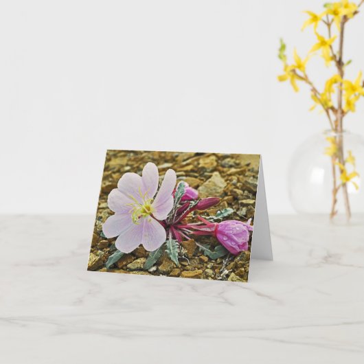 砂漠の月見草Notecard カード (黄色い花)