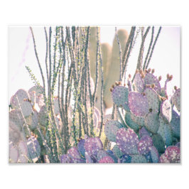 砂漠の朝 |フォトプリント フォトプリント           