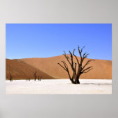 砂漠の木 ポスター (正面)