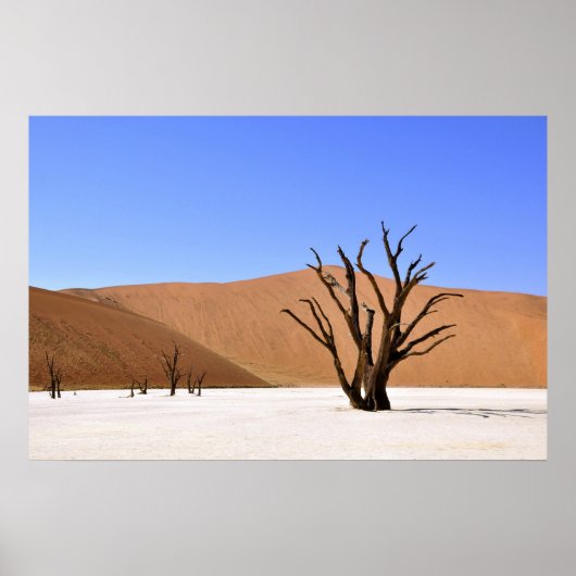 砂漠の木 ポスター (正面)