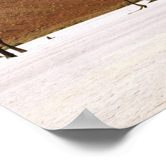 砂漠の木 ポスター (角)