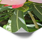 砂漠の柳の花の写真 ポスター (角)