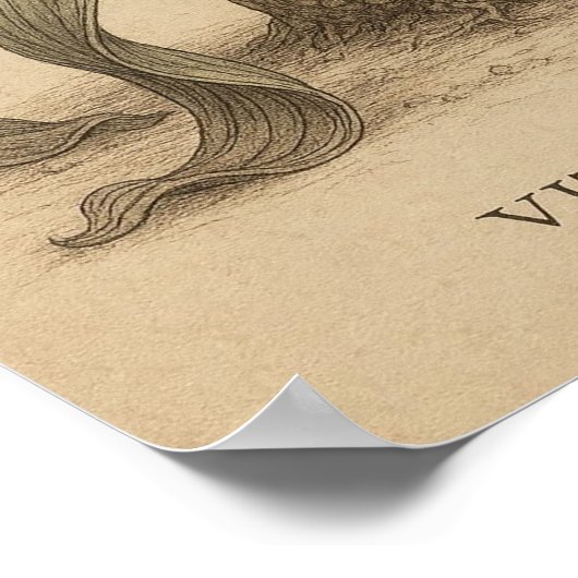 砂漠の植物生活を持つアフリカの植物鳥芸術 ポスター