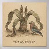 砂漠の植物生活を持つアフリカの植物鳥芸術 ポスター (正面)