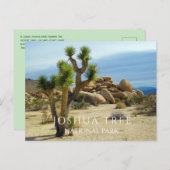 砂漠の植物、ジャイアント大きい石、ジョシュアツリーNP CA ポストカード (正面/裏面)