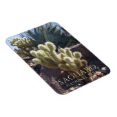 砂漠の植物Saguaro国立公園アリゾナ マグネット (右側)