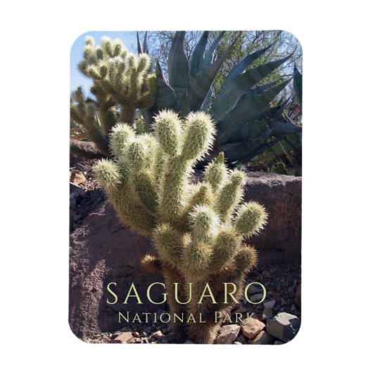 砂漠の植物Saguaro国立公園アリゾナ マグネット (縦)