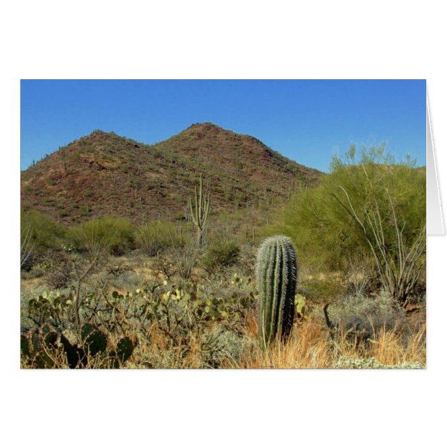 砂漠の楽園 (正面横)