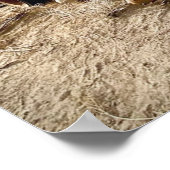 砂漠の水槽に犬を置く ポスター (角)