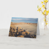 砂漠の波：石化された森林国立公園の写真 カード (黄色い花)