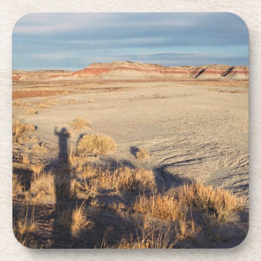 砂漠の波：石化された森林国立公園の写真 コースター (正面)